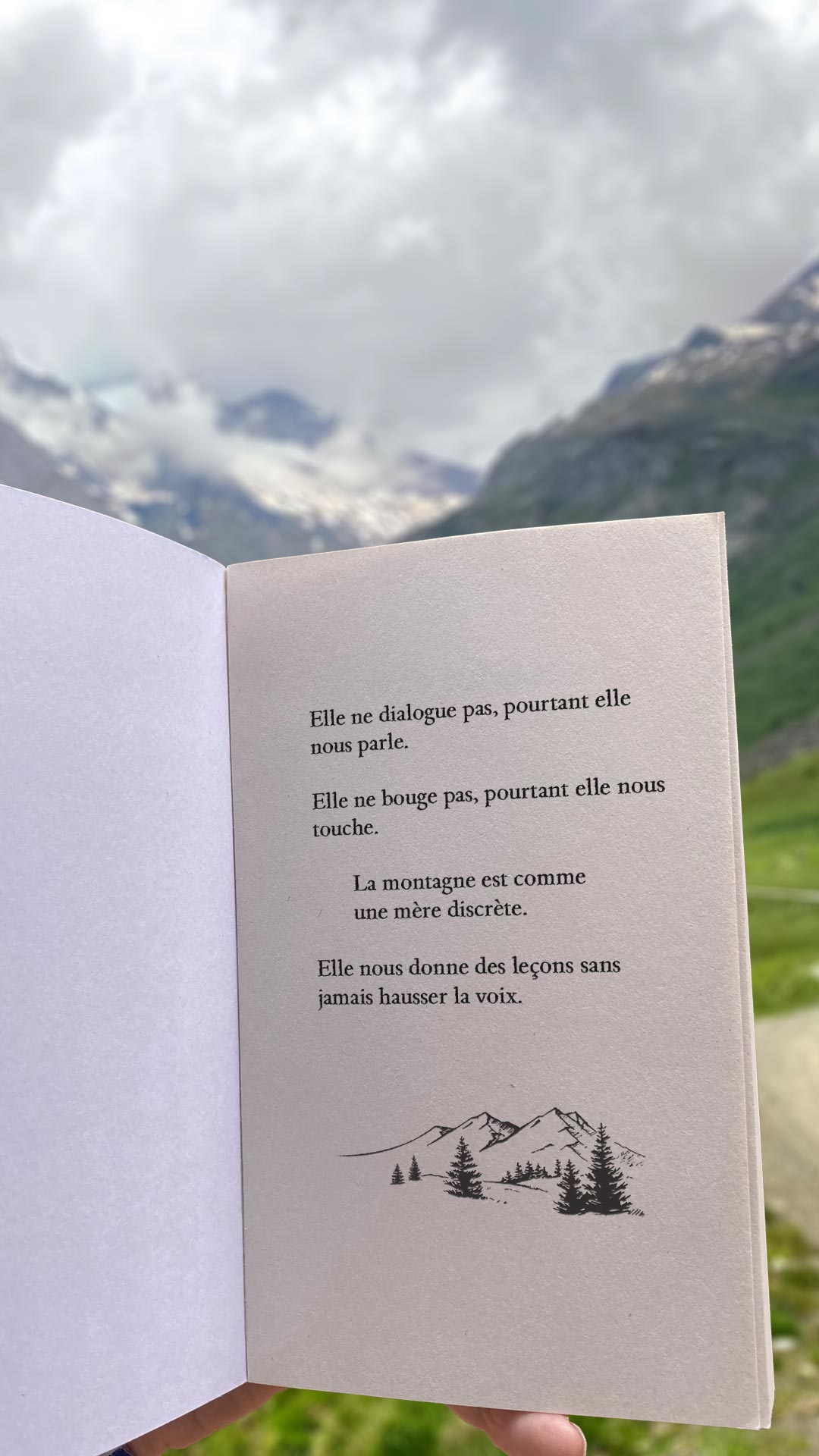 citation_250805_mere_discrete